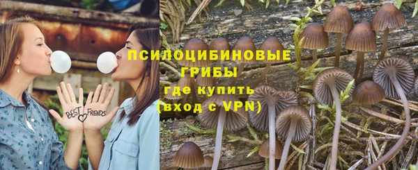 трава Алзамай