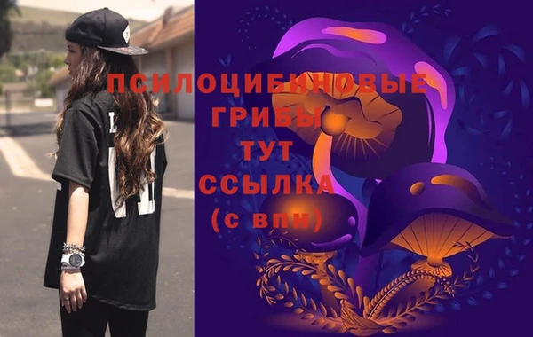 ПСИЛОЦИБИНОВЫЕ ГРИБЫ Алексин